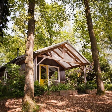 Knus Boshuisje Onder De Eiken Ermelo Zewnętrze zdjęcie