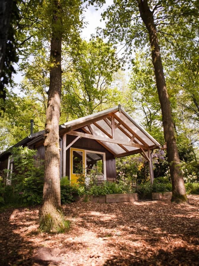 Knus Boshuisje Onder De Eiken Ermelo Zewnętrze zdjęcie